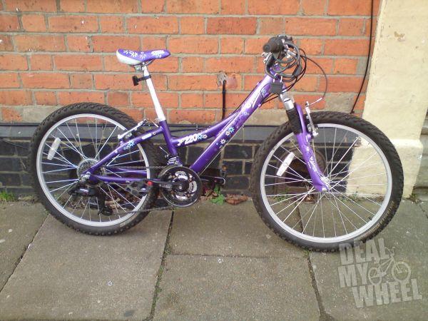 trek mountain track 220 purple