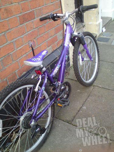 trek mt 220 purple